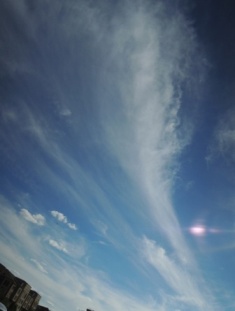 b0173754_15153184.jpg