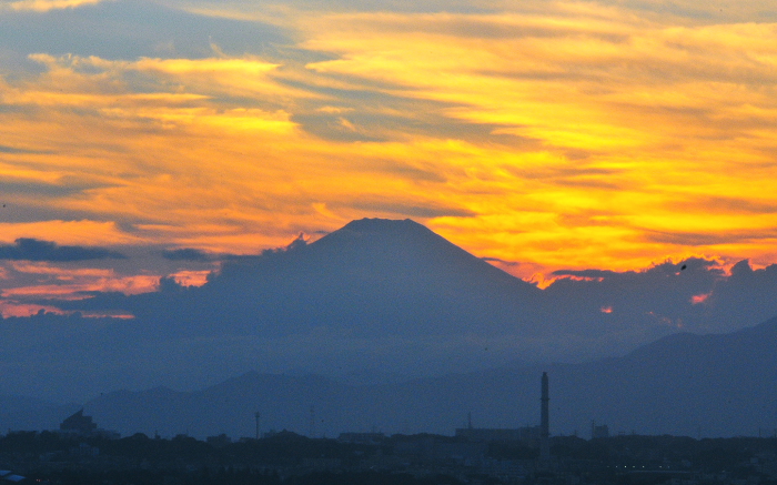 a0150260_1235123.jpg