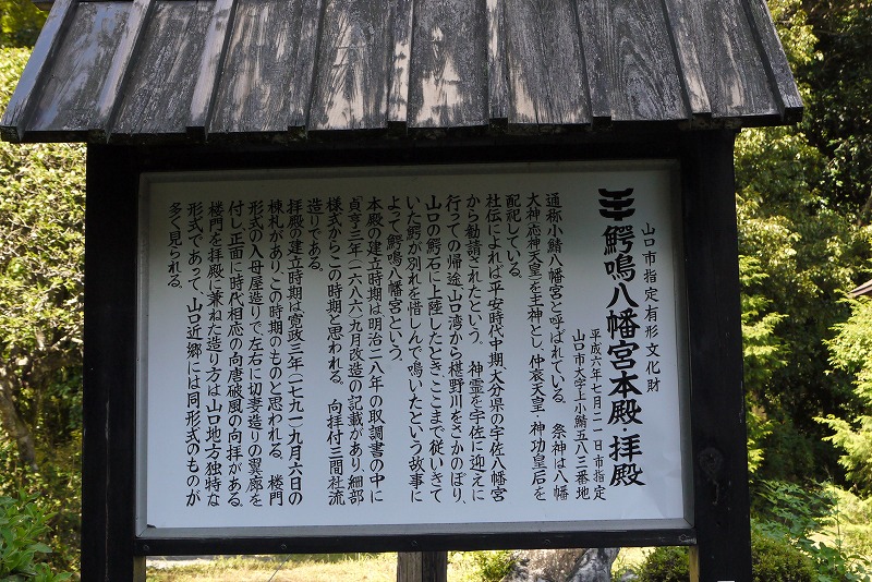 d0244960_1833638.jpg