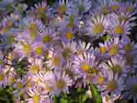 c0117570_13571547.jpg
