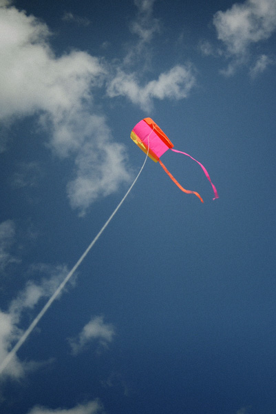 c0087773_23114639.jpg