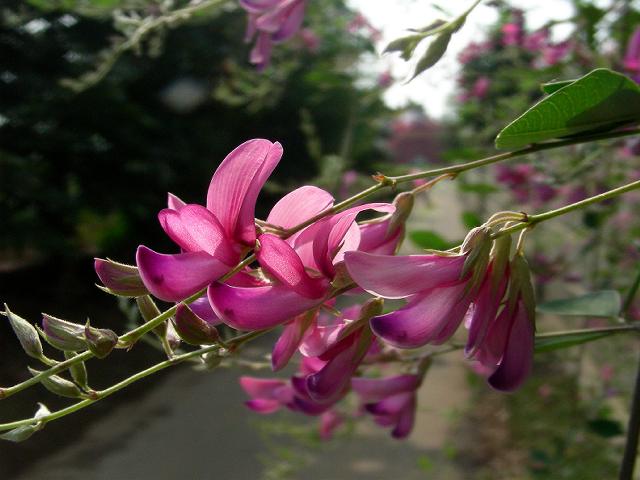 a0044076_1831298.jpg
