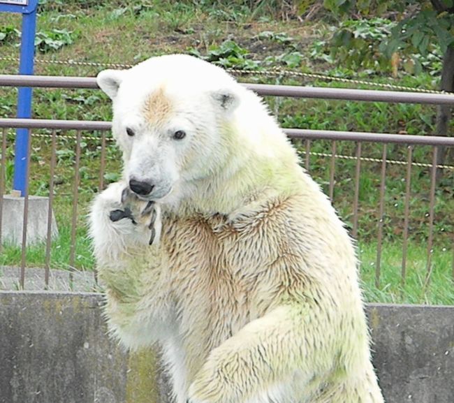 b0014576_7463669.jpg