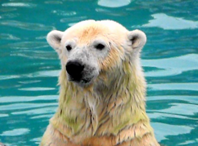 b0014576_7465937.jpg