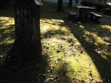 e0130185_1826351.jpg