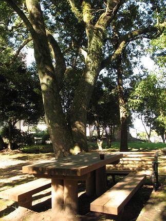 e0130185_1827613.jpg