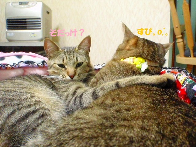 a0159490_1558513.jpg