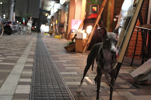 a0234491_21112643.jpg