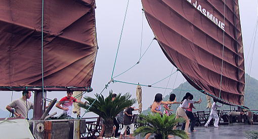 f0153497_1746561.jpg