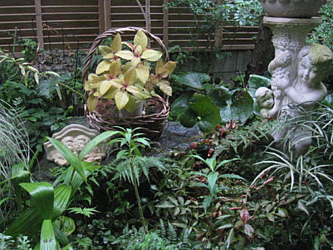 d0046702_15585238.jpg