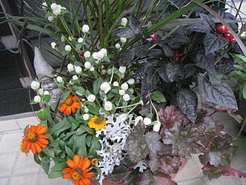 d0046702_1611598.jpg