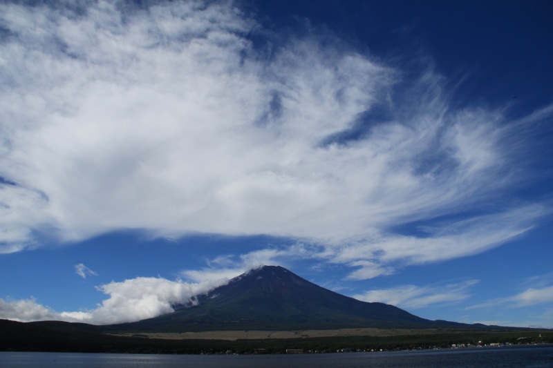 a0188405_5453818.jpg