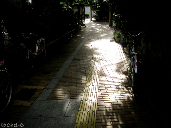 a0154706_16442761.jpg