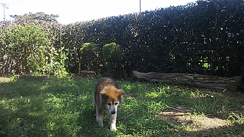 c0029913_2231787.jpg