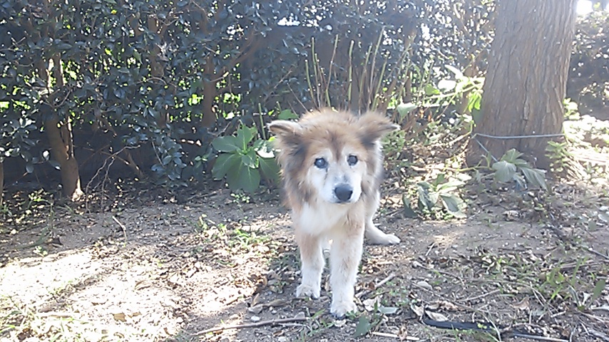 c0029913_22325493.jpg