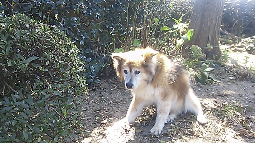 c0029913_22335890.jpg