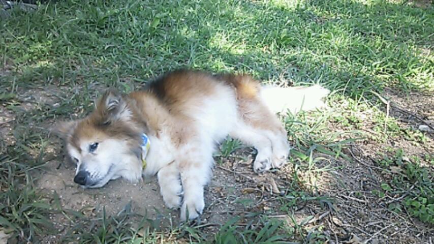 c0029913_2236954.jpg
