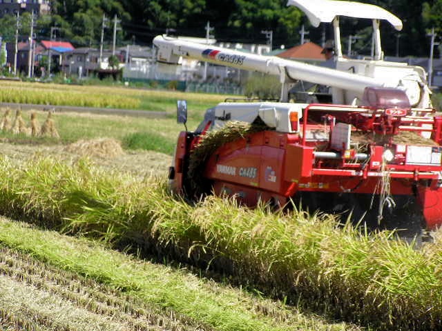 c0248013_154545100.jpg