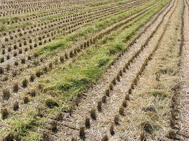 c0248013_15475453.jpg