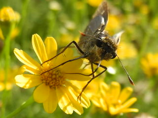 c0248013_16141492.jpg