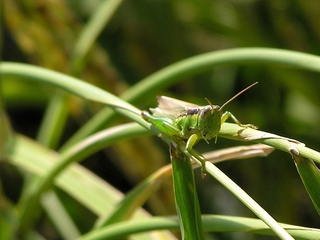 c0248013_163458.jpg