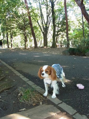f0214121_22311090.jpg