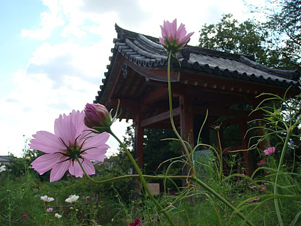b0068423_20281761.jpg