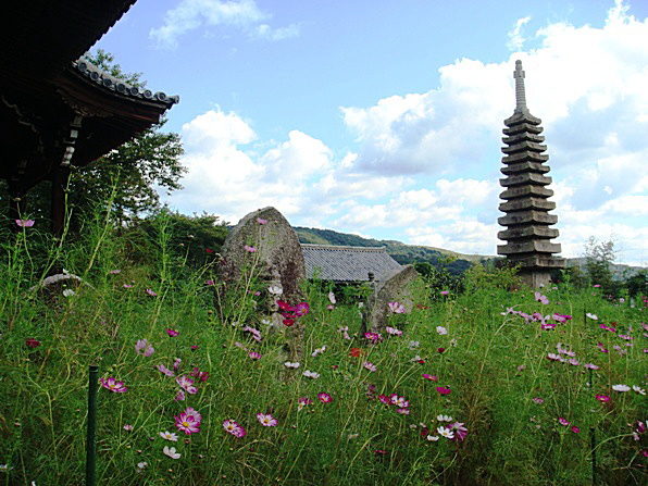 b0068423_2028582.jpg