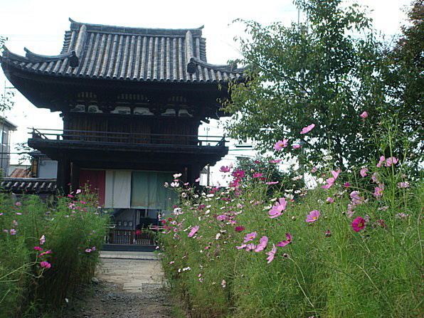 b0068423_20544673.jpg