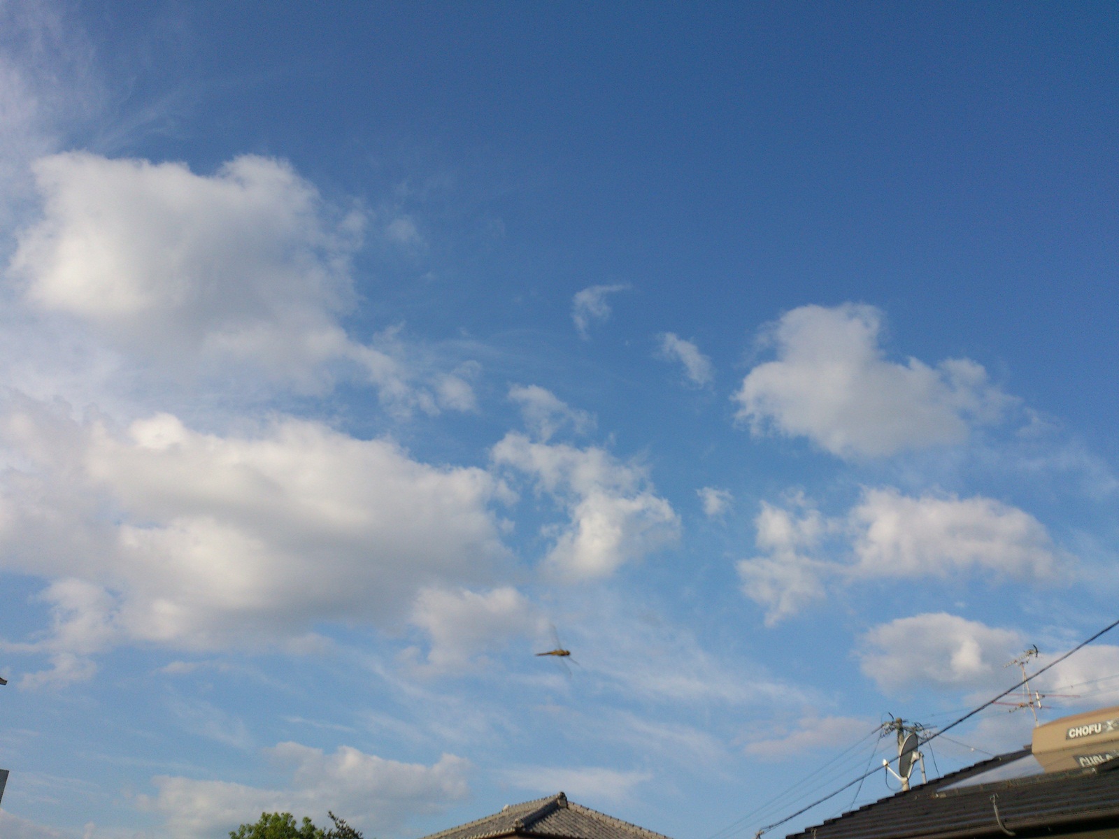 d0197625_2116861.jpg