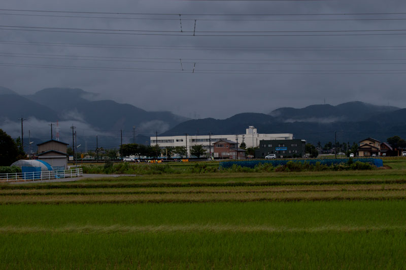 b0177233_5245451.jpg