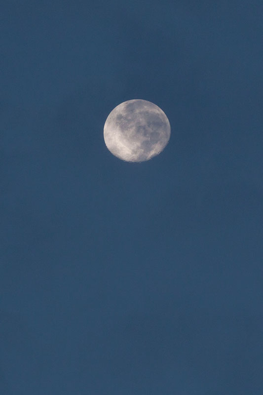 b0177233_532121.jpg