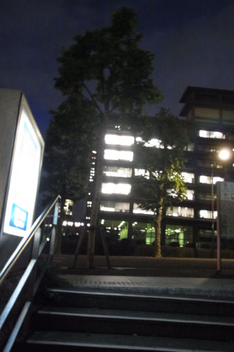c0111535_127914.jpg