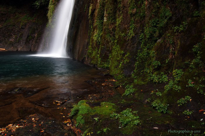 e0083238_123752.jpg