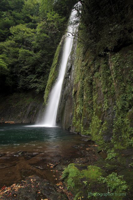 e0083238_1244637.jpg