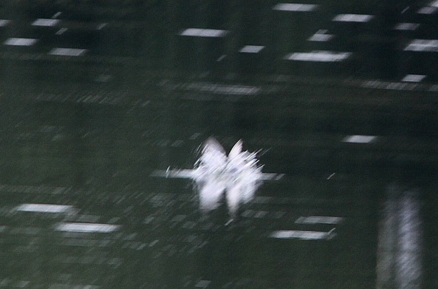 c0172139_2346190.jpg