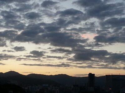 a0105740_7284769.jpg