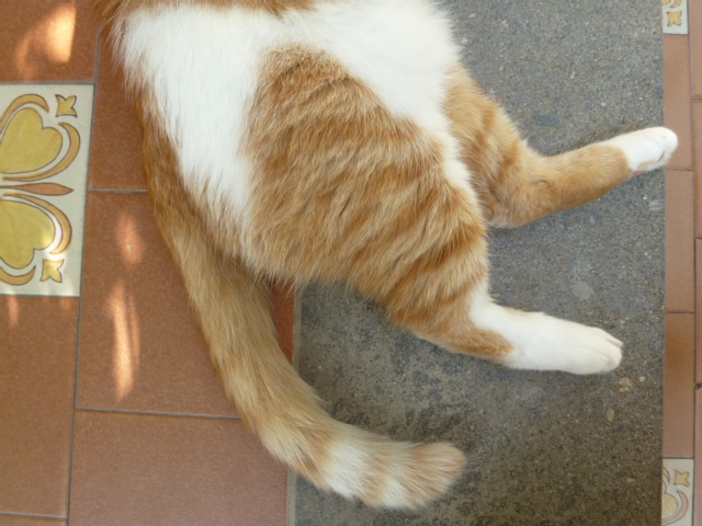 d0170140_016175.jpg