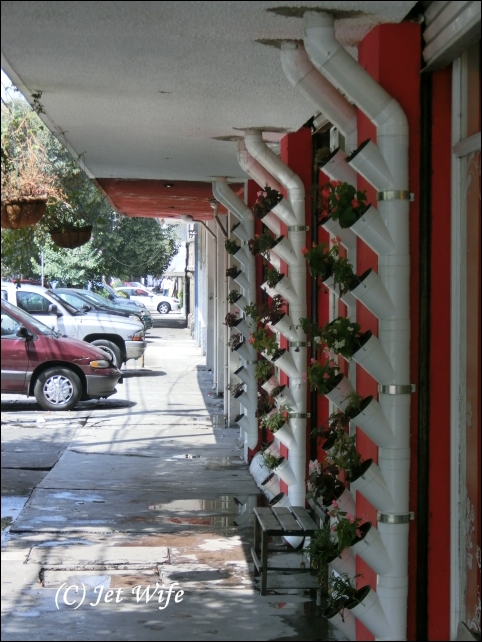 a0254243_0292861.jpg