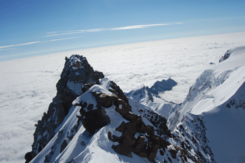a0044453_11403442.gif