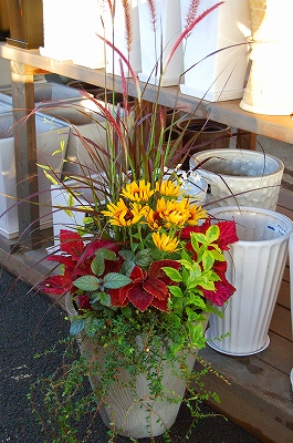 e0025655_5371392.jpg