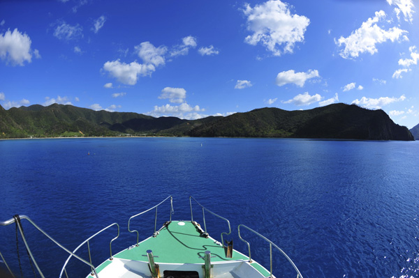 b0062363_1755540.jpg