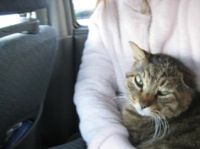 b0271465_2113286.jpeg