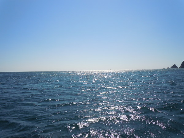 a0112066_14462337.jpg