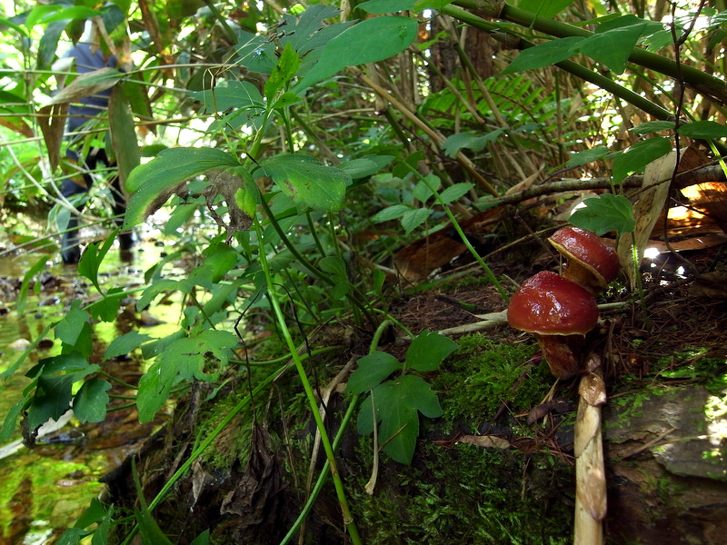 b0130166_23201057.jpg