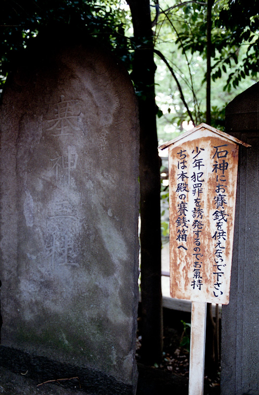 c0084666_20142628.jpg