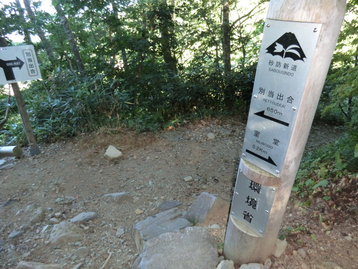 b0185573_17584576.jpg