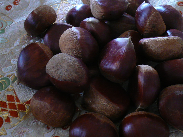 d0147774_1118360.jpg