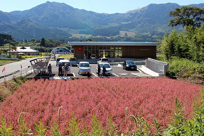 c0152779_1033369.jpg