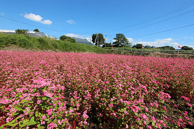 c0152779_10573039.jpg